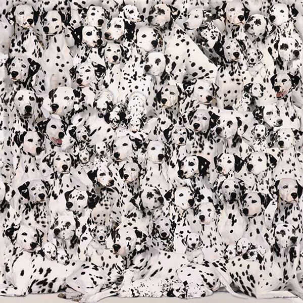 World's Most Difficult Jigsaw Puzzle: Dalmatians #jigsaw #puzzle